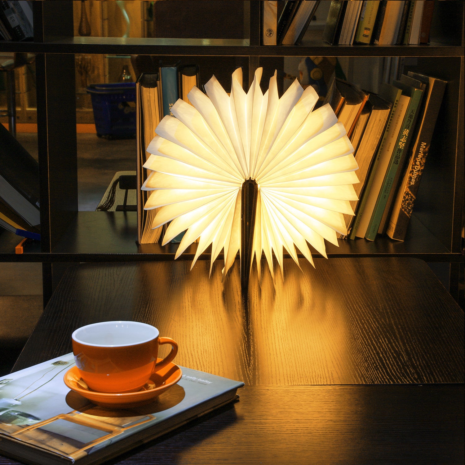 Ambiance Book Light™